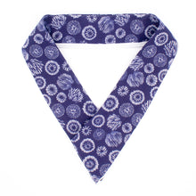 画像をギャラリービューアに読み込む, つけ替え衿 / 花火